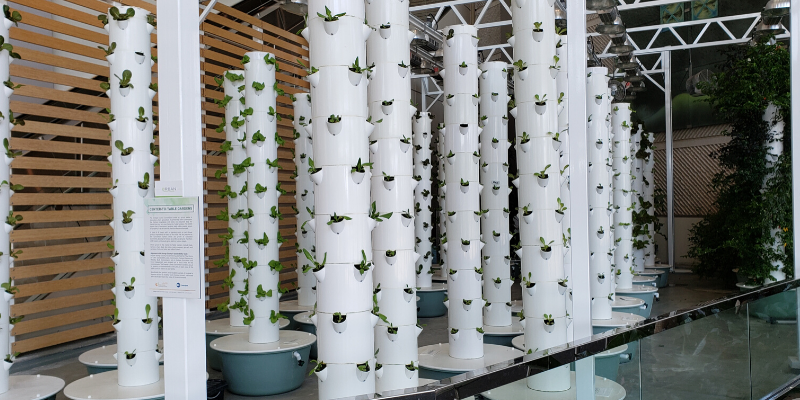 10 Tips for Hosting a Green Event